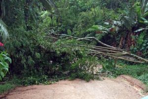 Defesa Civil monitora alerta para deslizamentos em Jaraguá do Sul