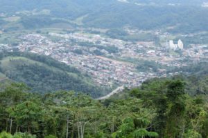 Meio Ambiente: Jaraguá do Sul evolui no combate ao desmatamento