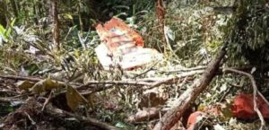 Encontrados destroços do avião da FAB que desapareceu em SC