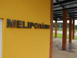 Meliponário surge como proposta de educação ambiental em Jaraguá do Sul