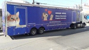 Mutirão de castração de cães e gatos em Schroeder: Inscrições abertas para o 16º evento