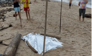 Descoberto Cadáver com Membros Decapitados em Avançado Estado de Decomposição em Balneário Barra do Sul