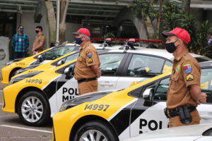 Retorno pós-natal nas estradas de Santa Catarina: cuidados necessários para uma viagem segura