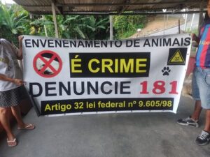 Comunidade de Schroeder I se mobiliza contra envenenamento de animais: grupo de whatsApp e ações de conscientização em destaque