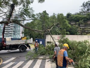 Temporal isolado causa danos em Jaraguá do Sul nesta terça-feira