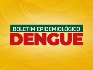 Boletim da dengue: números continuam em alta